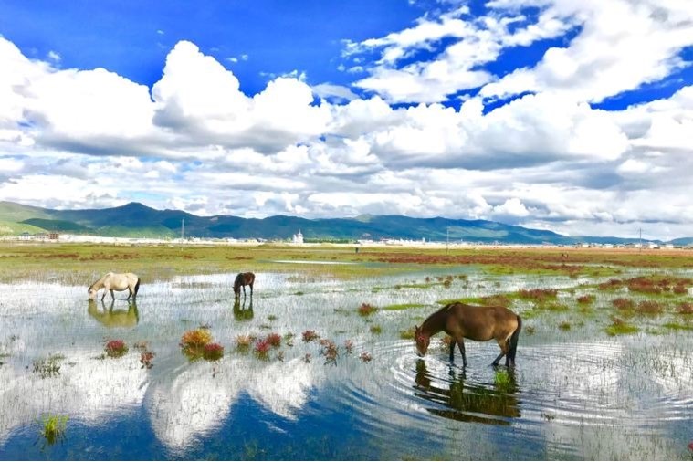 Tour Nam Ninh - Lệ Giang - Shangrila 6N5D Khởi Hành từ Hà Nội